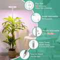 LED Grow Light for Indoor Plants, Full Spectrum Plant Growing Lamp with Dimmable Halo Light for Herbs & Succulents