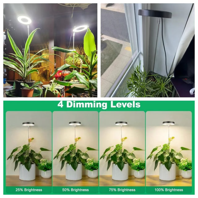 Plant Grow Light LED Growing Lamp, Full Spectrum, Height Adjustable, Auto Timer, Indoor Plant Light Solution