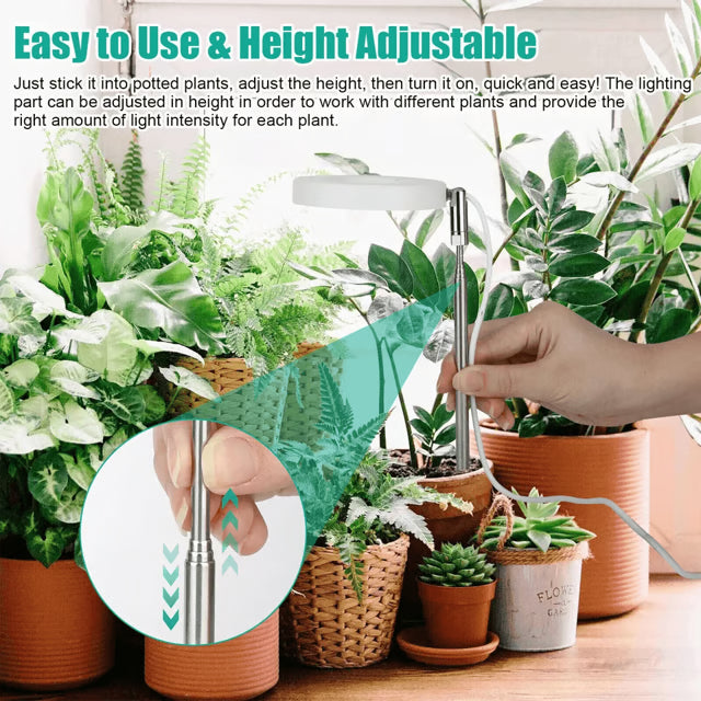 LED Grow Light for Indoor Plants, Full Spectrum Plant Growing Lamp with Dimmable Halo Light for Herbs & Succulents