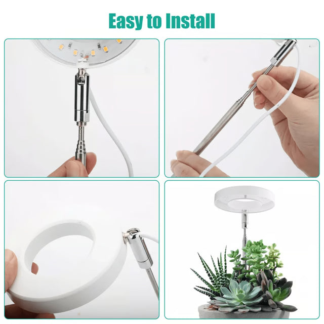 LED Grow Light for Indoor Plants, Full Spectrum Plant Growing Lamp with Dimmable Halo Light for Herbs & Succulents